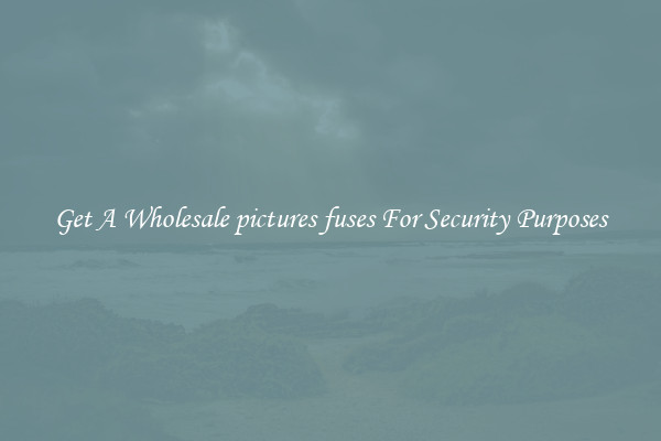 Get A Wholesale pictures fuses For Security Purposes