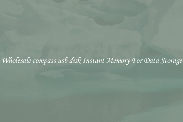 Wholesale compass usb disk Instant Memory For Data Storage