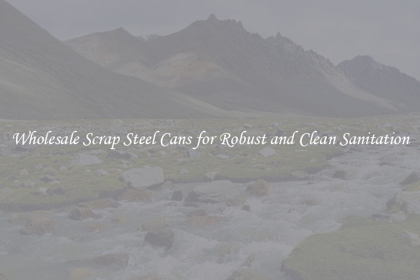 Wholesale Scrap Steel Cans for Robust and Clean Sanitation