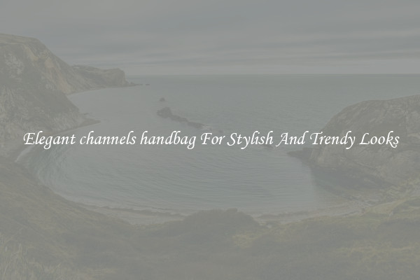Elegant channels handbag For Stylish And Trendy Looks
