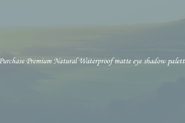 Purchase Premium Natural Waterproof matte eye shadow palette