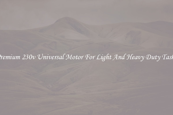 Premium 230v Universal Motor For Light And Heavy Duty Tasks