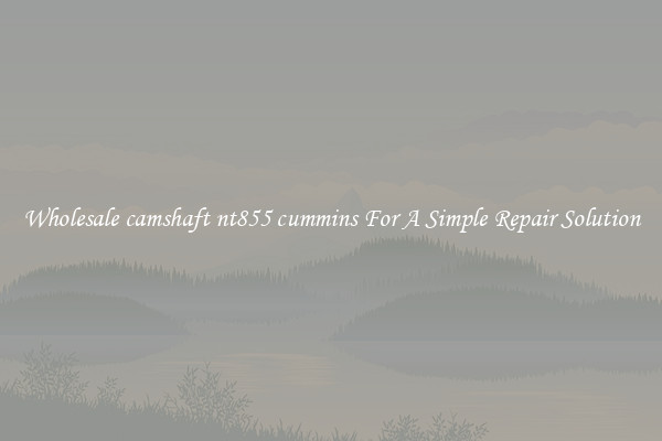 Wholesale camshaft nt855 cummins For A Simple Repair Solution