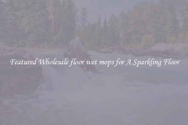 Featured Wholesale floor wet mops for A Sparkling Floor