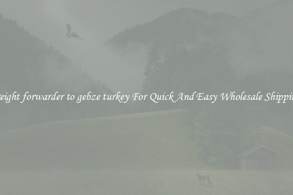 freight forwarder to gebze turkey For Quick And Easy Wholesale Shipping
