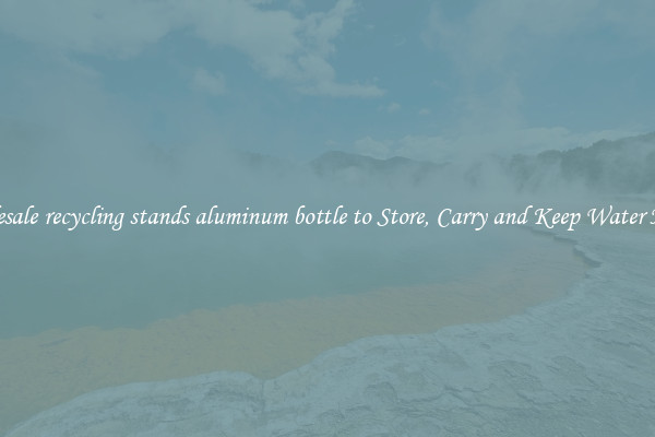 Wholesale recycling stands aluminum bottle to Store, Carry and Keep Water Handy