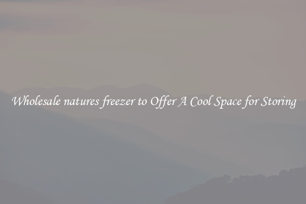 Wholesale natures freezer to Offer A Cool Space for Storing