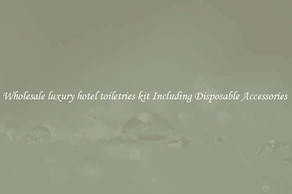 Wholesale luxury hotel toiletries kit Including Disposable Accessories 