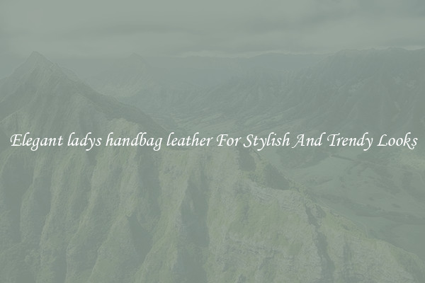 Elegant ladys handbag leather For Stylish And Trendy Looks