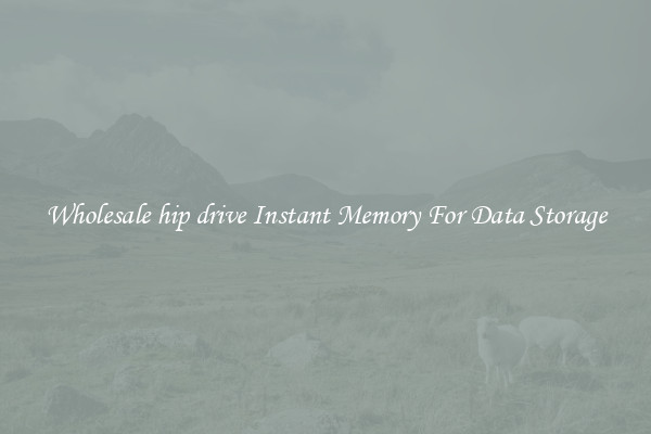 Wholesale hip drive Instant Memory For Data Storage