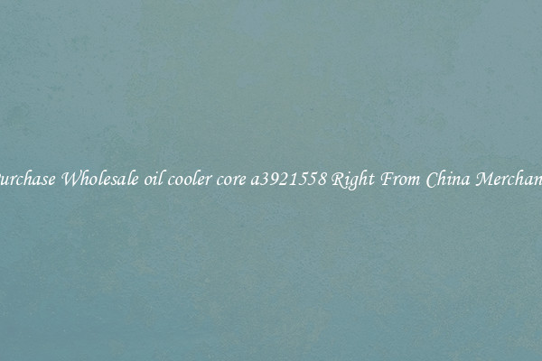 Purchase Wholesale oil cooler core a3921558 Right From China Merchants