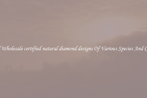 Find Wholesale certified natural diamond designs Of Various Species And Colors