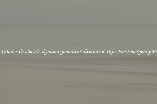 Get A Wholesale electric dynamo generator alternator 1kw For Emergency Purposes