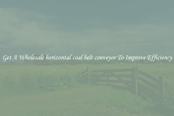 Get A Wholesale horizontal coal belt conveyor To Improve Efficiency