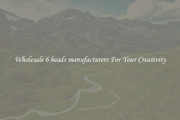 Wholesale 6 heads manufacturers For Your Creativity
