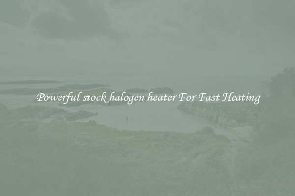 Powerful stock halogen heater For Fast Heating
