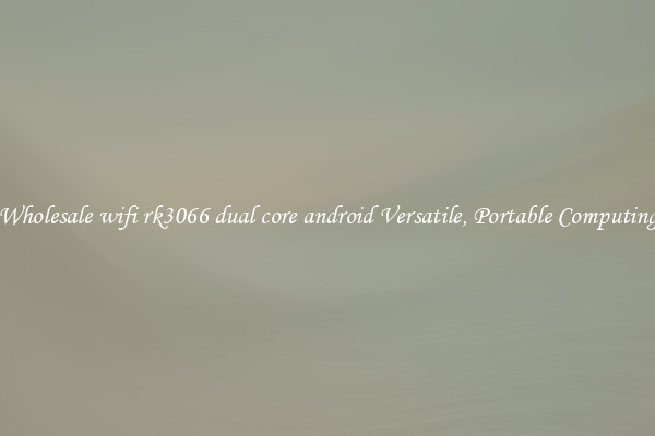 Wholesale wifi rk3066 dual core android Versatile, Portable Computing