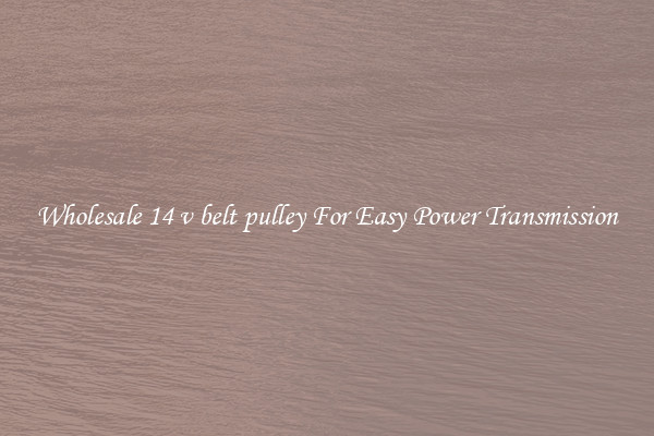 Wholesale 14 v belt pulley For Easy Power Transmission
