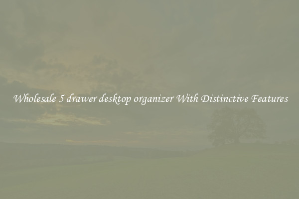 Wholesale 5 drawer desktop organizer With Distinctive Features