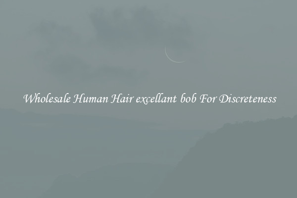 Wholesale Human Hair excellant bob For Discreteness