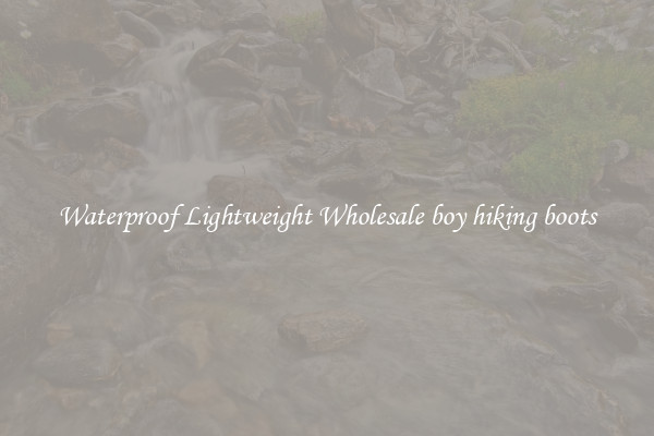Waterproof Lightweight Wholesale boy hiking boots