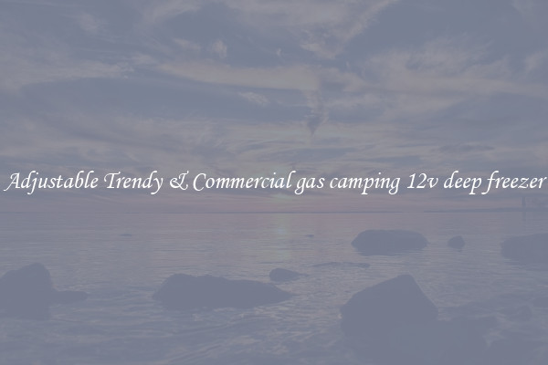 Adjustable Trendy & Commercial gas camping 12v deep freezer