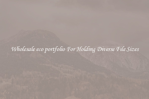 Wholesale eco portfolio For Holding Diverse File Sizes