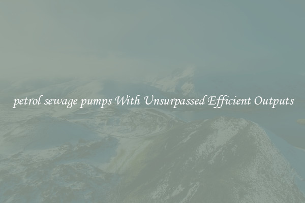 petrol sewage pumps With Unsurpassed Efficient Outputs