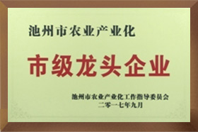 市級龍頭海角社区成人免费视频A片