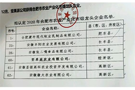 2020年合肥市農業產業化市級龍頭海角社区成人免费视频A片
